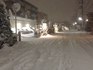 140214snow_1.jpg