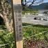 20230923asagirikogen3.jpg