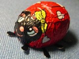 090301ladybug.jpg