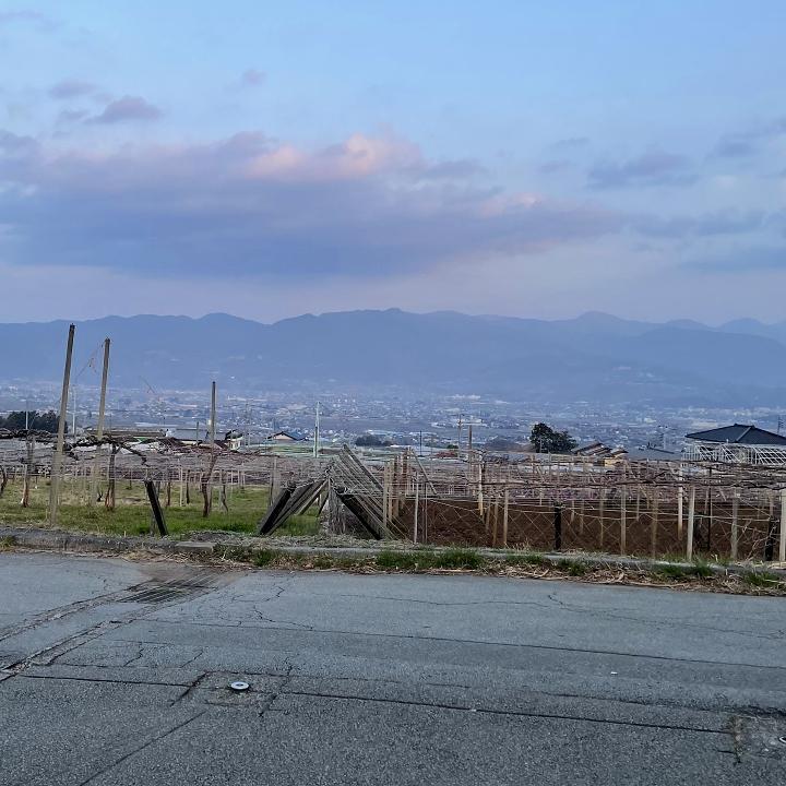 20240316yamanashi15.jpg