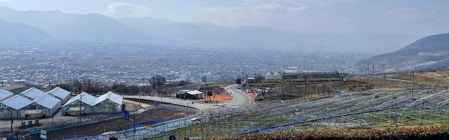 20240316yamanashi22.jpg