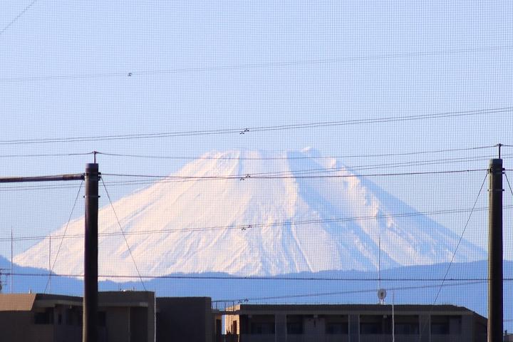 240101fuji.jpg