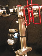 Stem Cut
