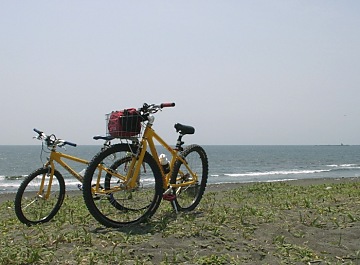 2000.05, Shonan Beach