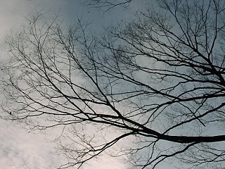 2001.02, Tokyo