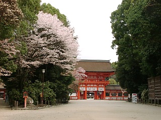 2001.04, Kyoto Cherrys!