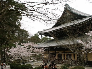 2001.04, Kyoto Cherrys!