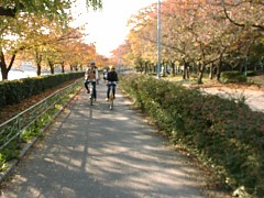 2001.11.22, LbNcA[ - TCNO[h