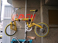 2001.11.22, LbNcA[ - Pacific-yellow !