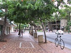 2001.12.15, Hawaii -̕\ʂ 