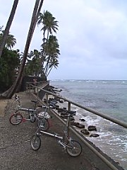 2001.12.15, Hawaii - CƋLOBe
