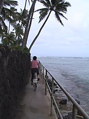 2001.12.15, Hawaii - iށEEE