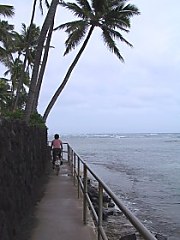 2001.12.15, Hawaii- iށEEE