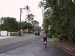 2001.12.15, Hawaii - ZXi