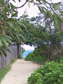 2001.12.17, Hawaii