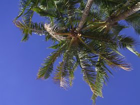 2001.12.18, Hawaii