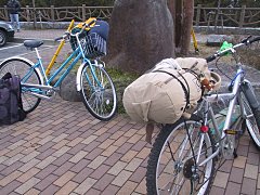 2002.03.02, 箱根チャレンジ