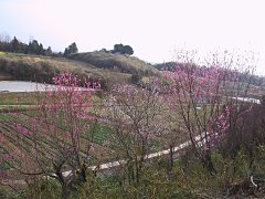 2002.03.02, 箱根チャレンジ