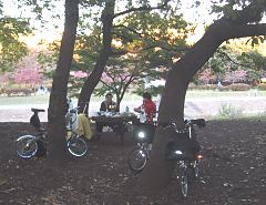 2002.11, Nogawa Park Date,Tokyo