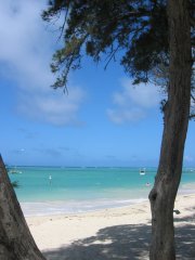 Kailua, Hawaiii03-08-11j