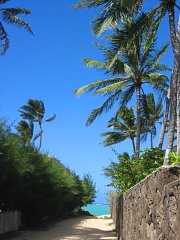 Kailua, Hawaiii03-08-11j