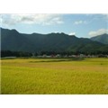 2006.09 Minami Aizu Cycle Train_11