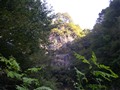 2006.10 Shinshu Matsutake Tour_103