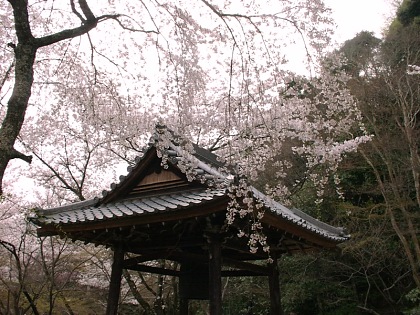 2001/4 Kyoto