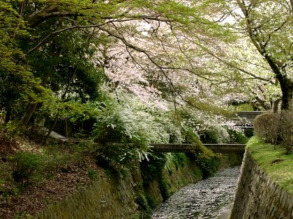 2001/4 Kyoto