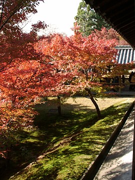 2001/11 Kyoto