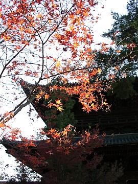 2001/11 Kyoto