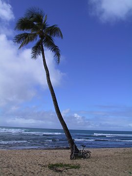 2001.12.14-19, Oahu Hawaii