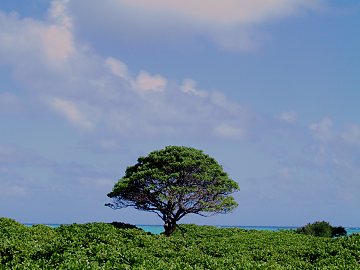 2001.12.14-19, Oahu Hawaii