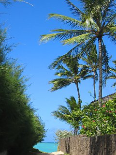 2003.08 Oahu,Hawaii