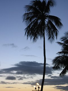2003.08 Oahu,Hawaii