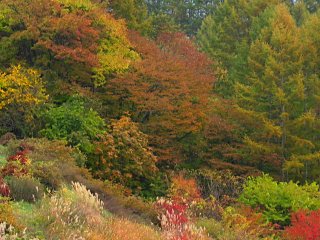 2003.10 Tateshina Autumn,Japan