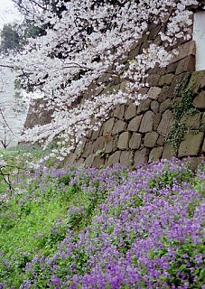 9904, Chidorigafuchi