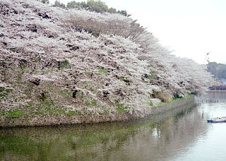 9904, Chidorigafuchi