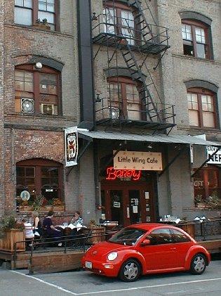 9908ptlndbeetle.jpg