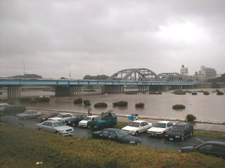 Rain storm2