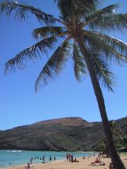 2002.09, Hawaii